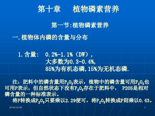 土壤学第十章植物磷素营养