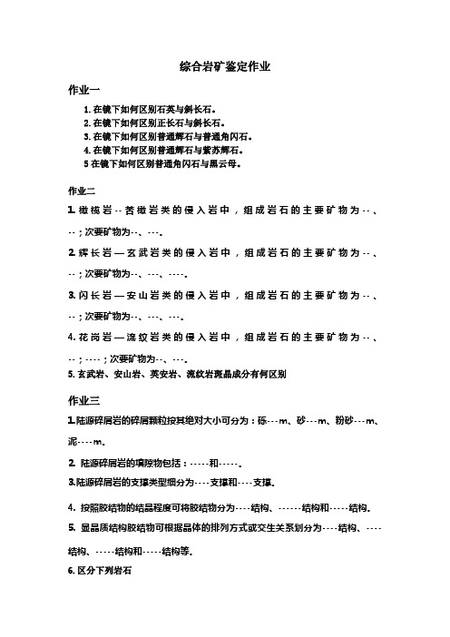 吉林大学应用技术学院综合岩矿鉴定作业