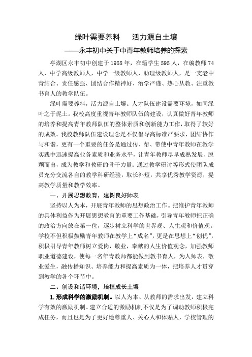 永丰初中中青年教师的培养初探