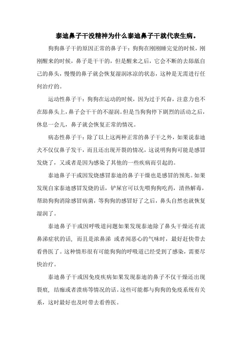 泰迪鼻子干没精神为什么泰迪鼻子干就代表生病