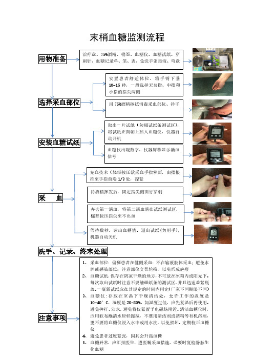 末梢血糖监测流程