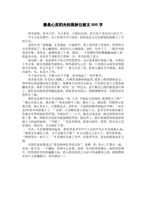 善是心灵阳光的照射记叙文800字