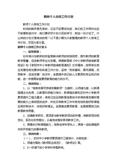 教师个人自培工作计划