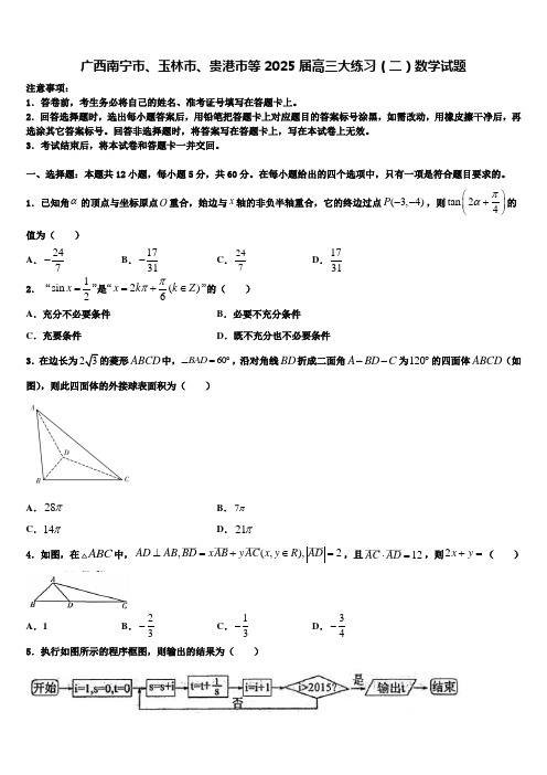 广西南宁市、玉林市、贵港市等2025届高三大练习(二)数学试题
