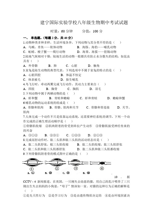 建宁国际实验学校八年级生物期中考试试题