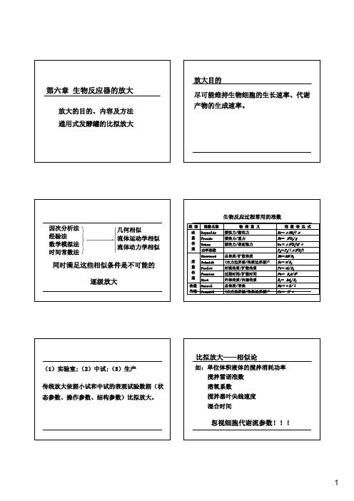 6 生物反应器的放大