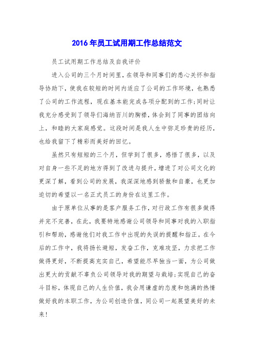 2016年员工试用期工作总结范文_0