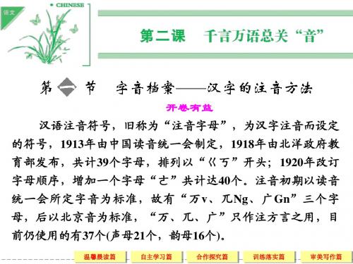 2014高考语文一轮细致筛查复习全册考点课件：语言文字应用2-1