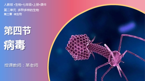 人教版生物七年级上册2.3.4《病毒》课件(共31张PPT)+视频素材