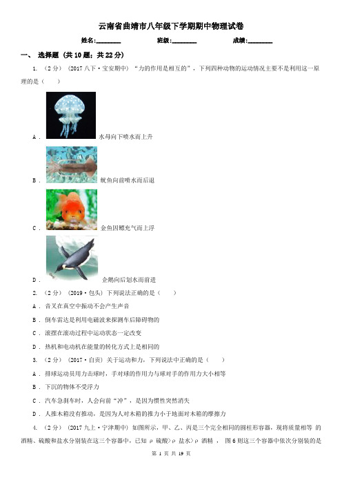 云南省曲靖市八年级下学期期中物理试卷
