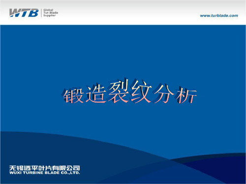 锻造裂纹的力学分析和组织分析