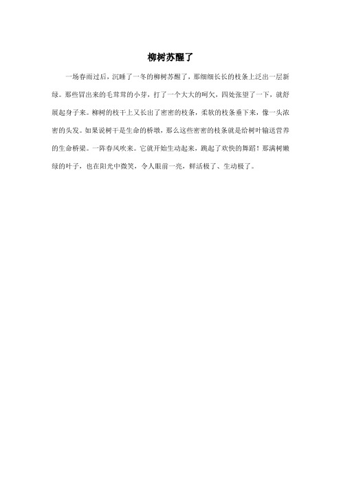 柳树苏醒了_小学二年级作文200字