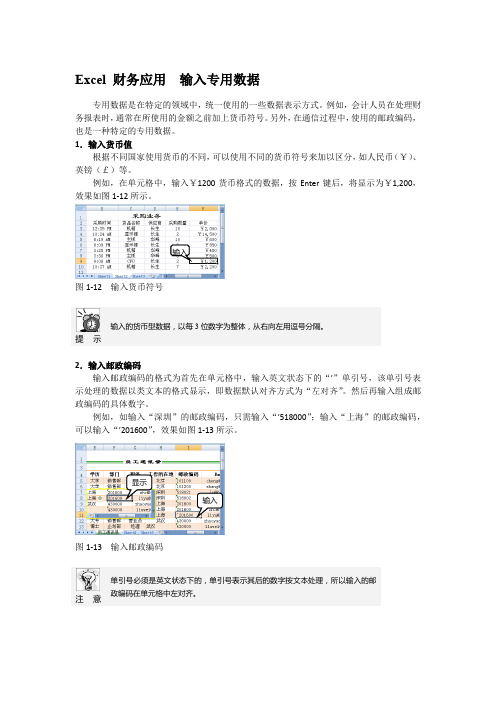 Excel 财务应用  输入专用数据