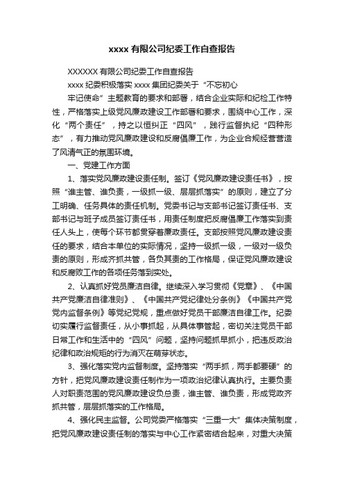 xxxx有限公司纪委工作自查报告