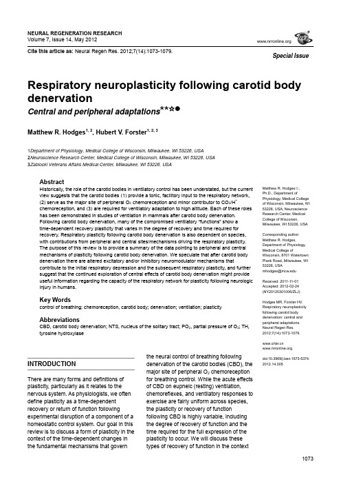 颈动脉体失神经：中枢及周边适应的呼吸神经可塑性
