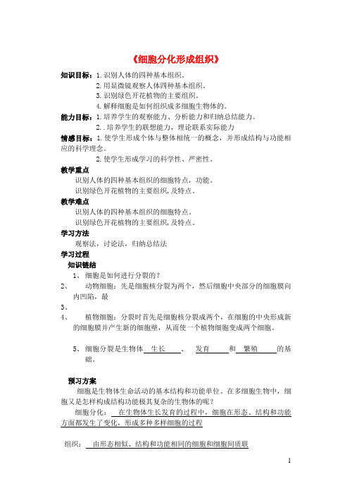 天桥区某中学七年级生物上册第2单元第4章生物体的结构层次第1节细胞分化形成组织导学案新版北师大版