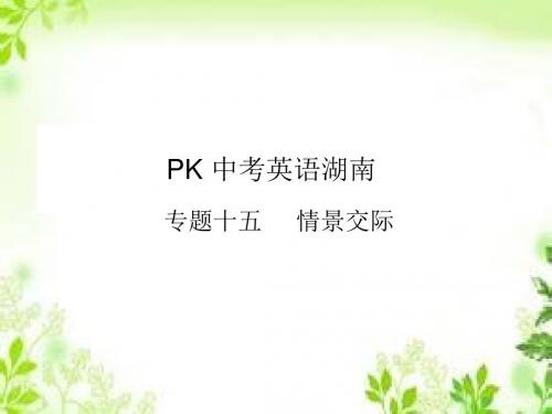 pk中考2017中考(湖南地区)英语复习(课件)专题十五情景交际