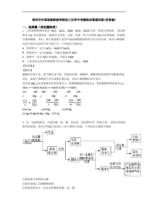 郑州市外国语新枫杨学校初三化学中考模拟试卷通用版(含答案)