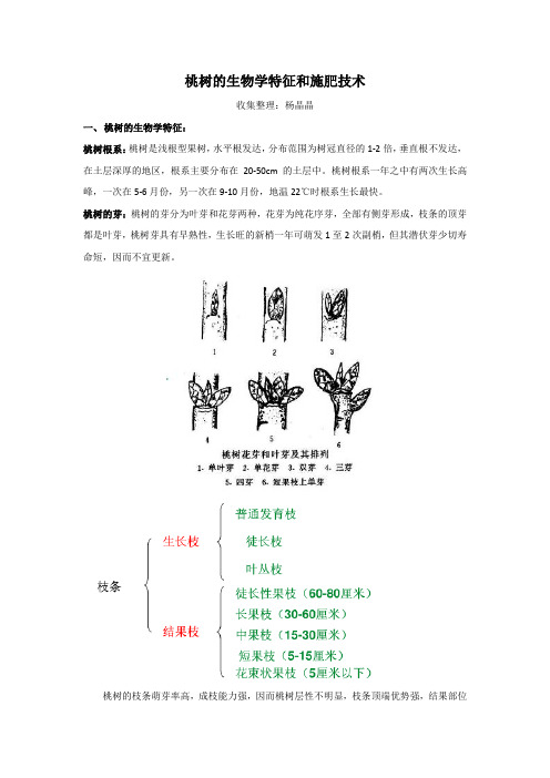 桃树的生物学特征和施肥技术