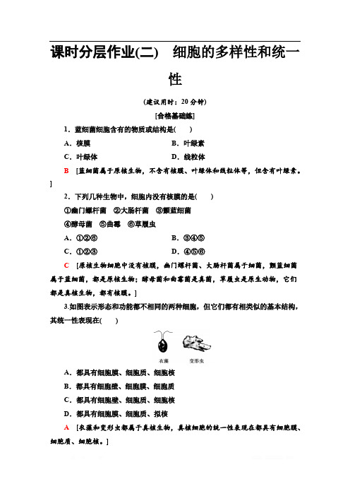 2019-2020同步新教材人教生物必修一新突破课时分层作业：2 细胞的多样性和统一性 