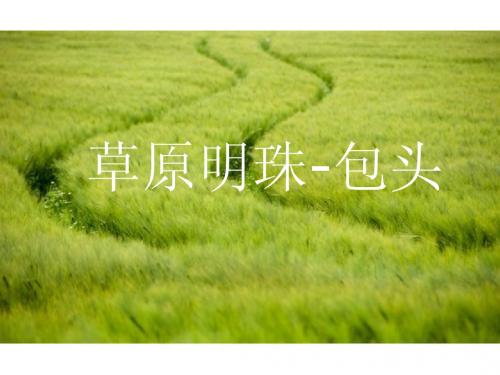 包头