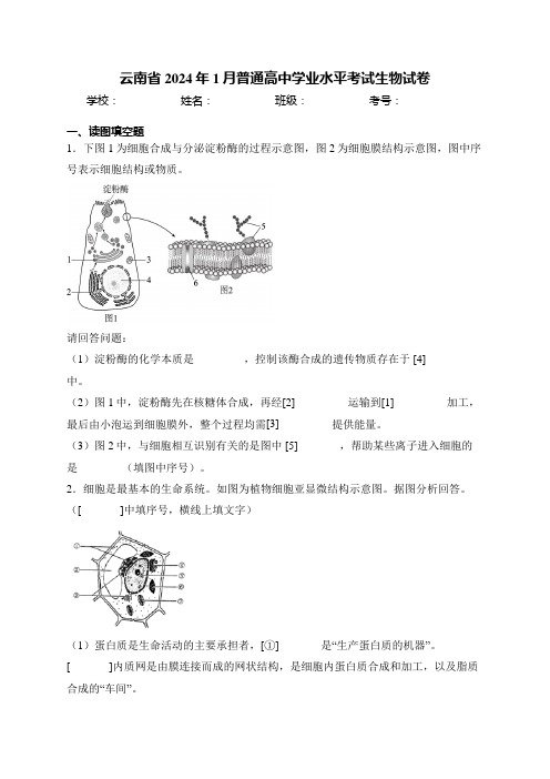 云南省2024年1月普通高中学业水平考试生物试卷(含答案)