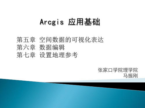 Arcgis符号化编辑地理参考设置