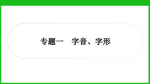 中考语文第一轮复习：专题一 字音、字形  课件(共18张PPT)