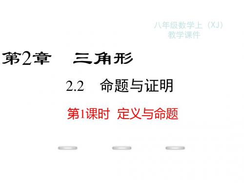 新湘教版八年级上册数学课件：2.2  第1课时 定义与命题