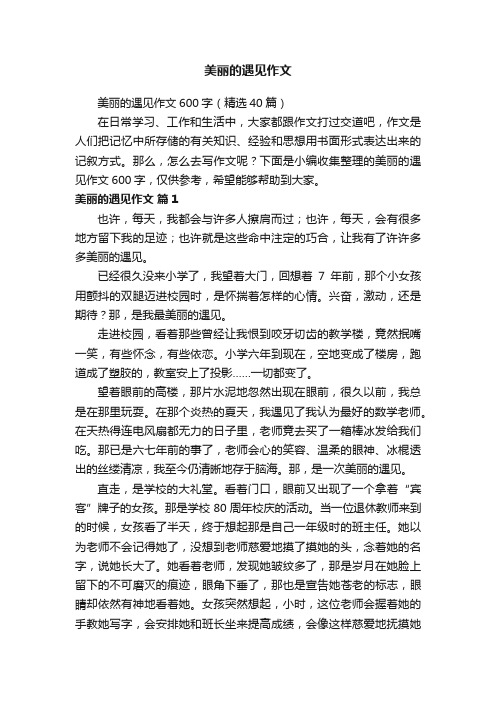 美丽的遇见作文600字(精选40篇)