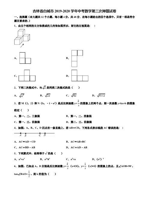 吉林省白城市2019-2020学年中考数学第三次押题试卷含解析