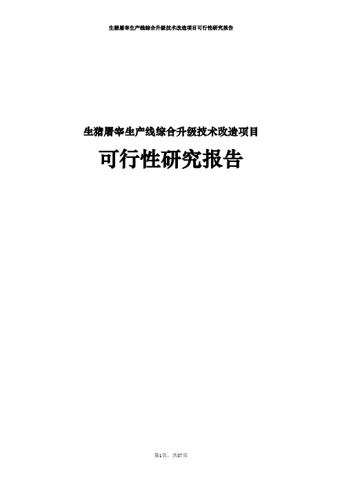 生猪屠宰生产线综合升级技术改造项目可行性研究报告