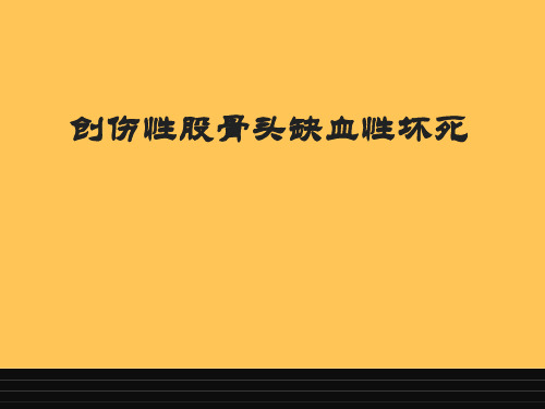 创伤性股骨头缺血性坏死  ppt课件