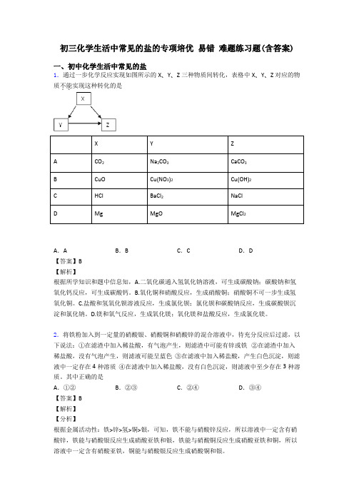 初三化学生活中常见的盐的专项培优 易错 难题练习题(含答案)