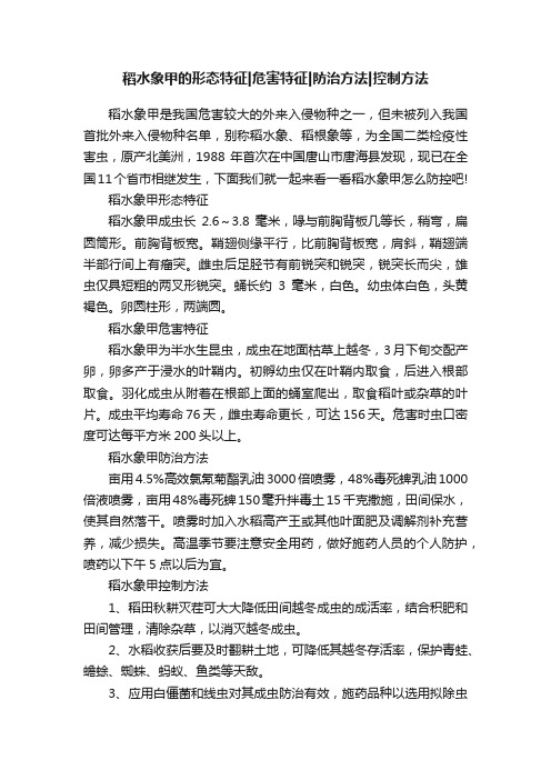 稻水象甲的形态特征危害特征防治方法控制方法