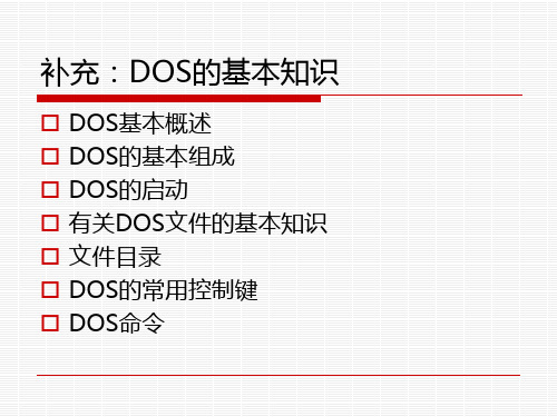 DOS讲解