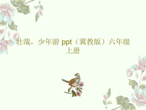 壮哉,少年游 ppt(冀教版)六年级上册PPT文档17页