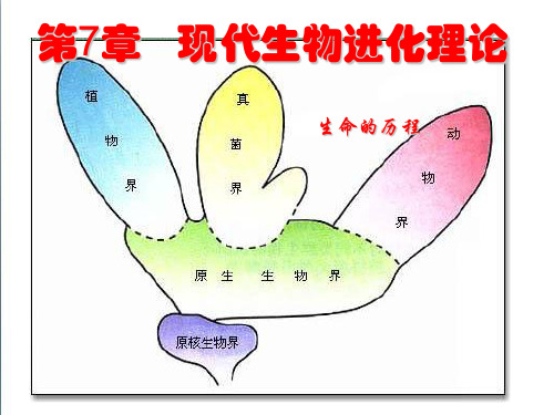 【人教版】生物必修二：7.1《现代生物进化理论的由来》ppt课件