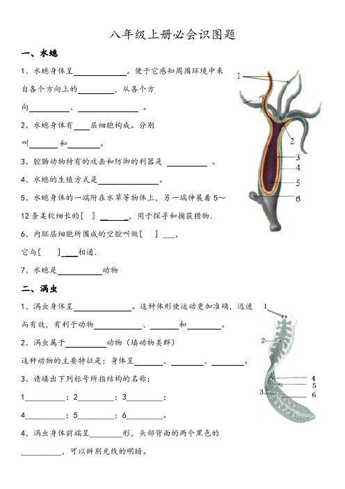 识图题-2023-2024学年人教版生物八年级上册