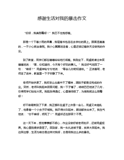 感谢生活对我的暴击作文