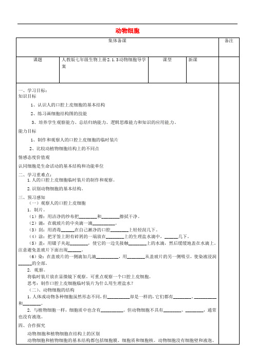 七年级生物上册 2.1.3动物细胞导学案(无答案)(新版)新人教版