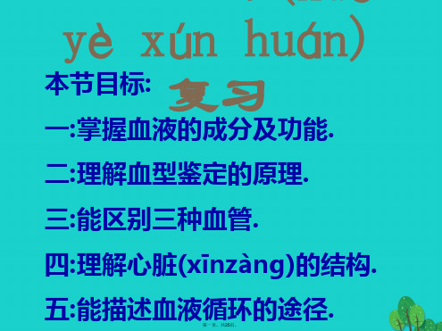 河北省沧州中考生物血液循环复习课件