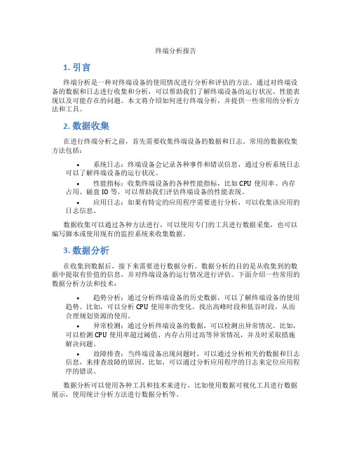 终端分析报告