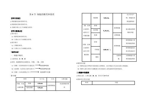 2.4细胞中的糖类和脂质导学案