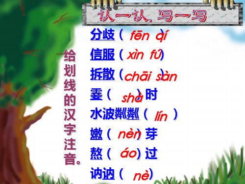 新人教版初一上学期字音字形整理