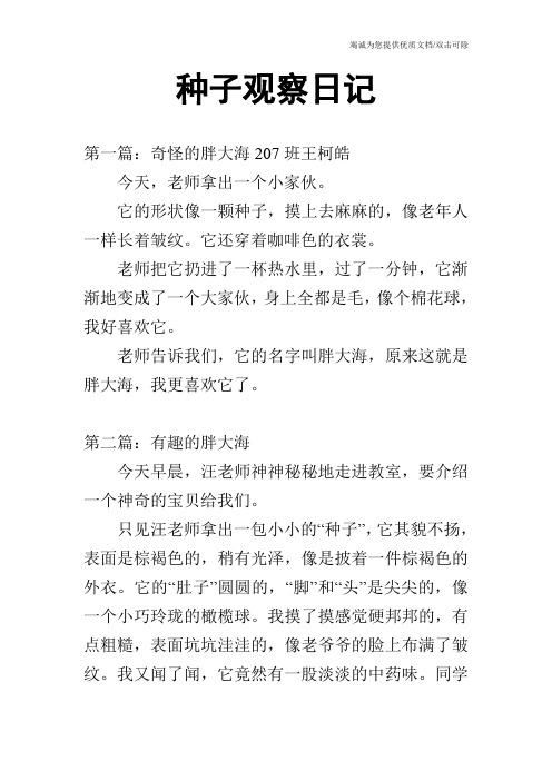 种子观察日记
