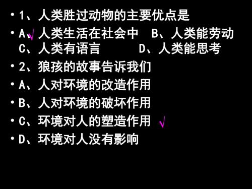 人与社会的关系演示文稿