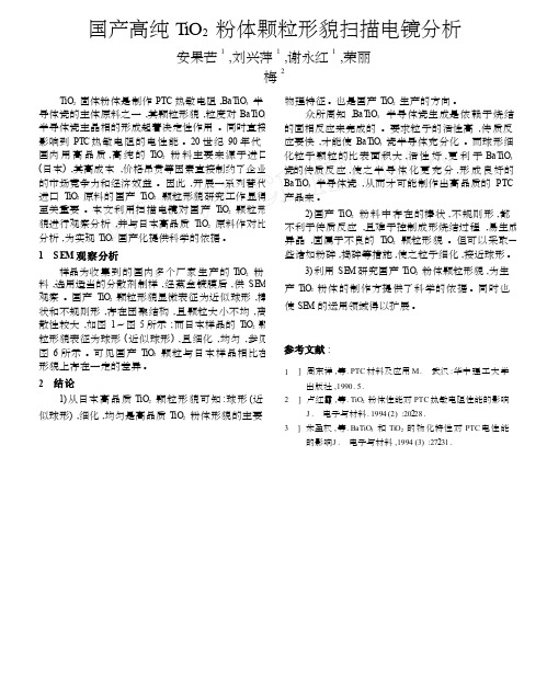 国产高纯TiO_2粉体颗粒形貌扫描电镜分析