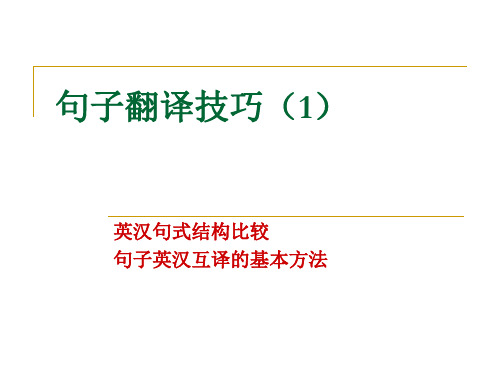 句子翻译技巧(1)