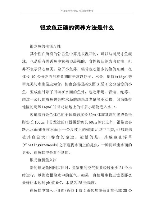 银龙鱼正确的饲养方法是什么